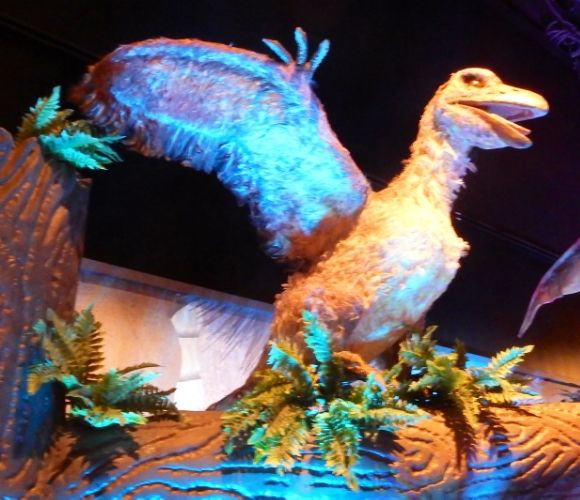 flying feathered dinosaurs